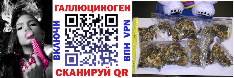 Галлюциногенные грибы ЛСД  Верхняя Пышма 